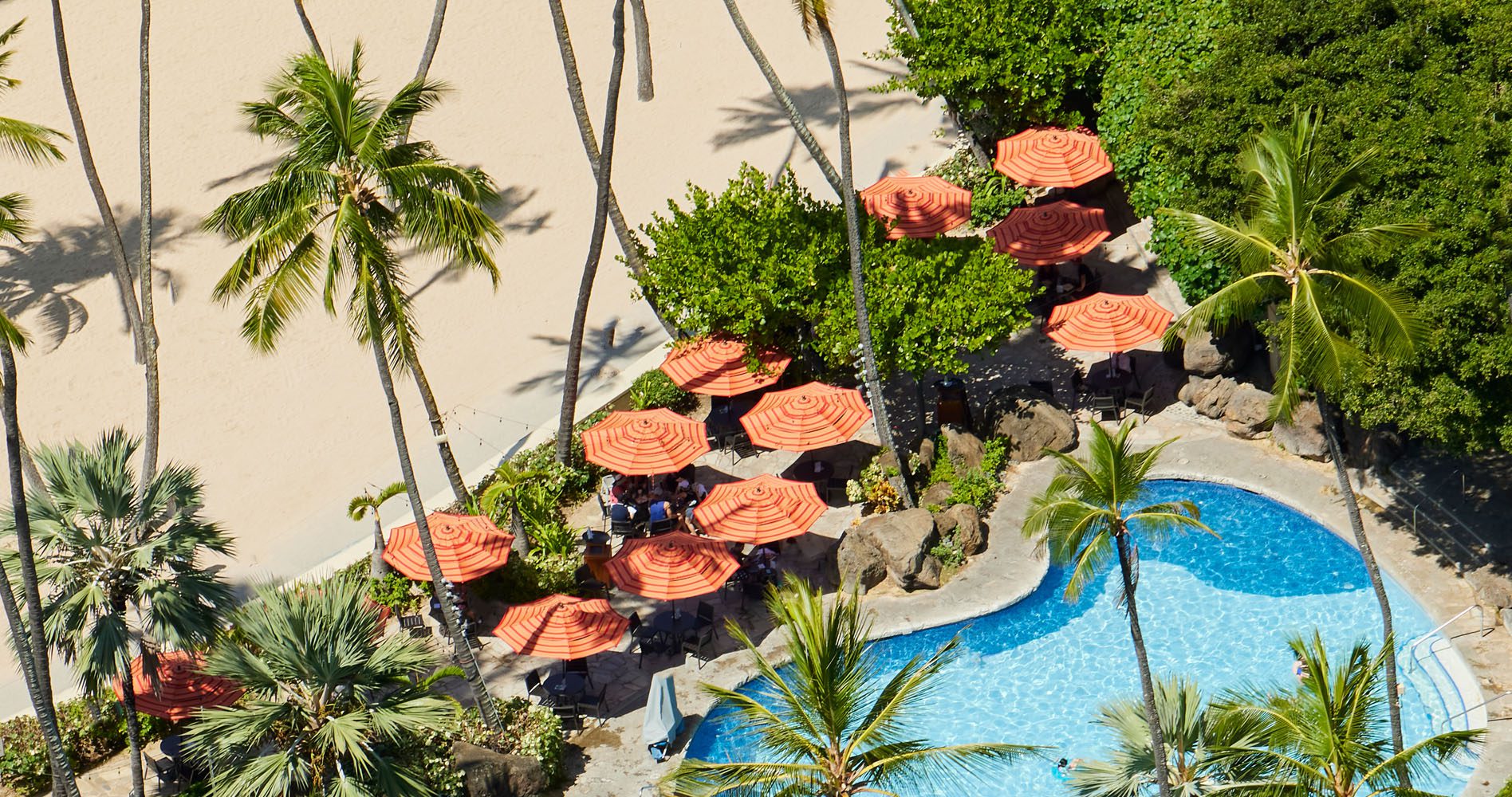 Aerial view of the Super Pool