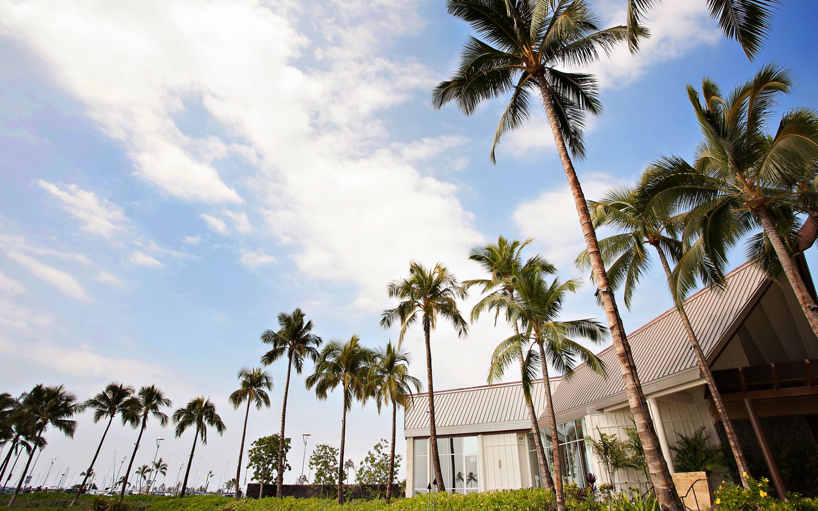 Exterior photo of a wedding chapel with blue skies and palm trees