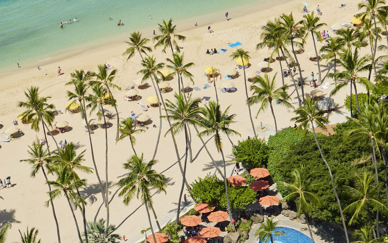 Beachfront Hau Tree Bar shaded by umbrellas around the Super Pool