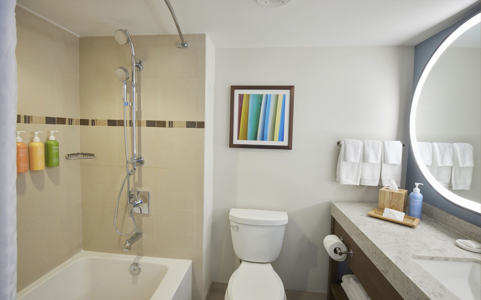 Rainbow Tower shower and tub in bathroom