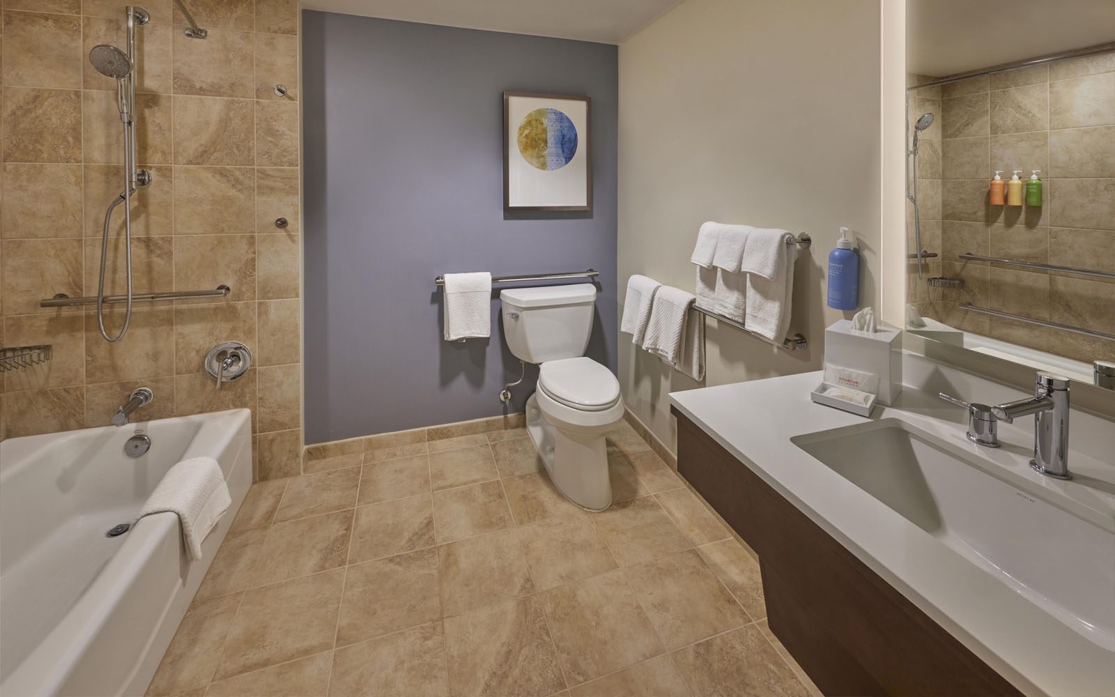 Tapa Collection mobilitly access tub in bathroom