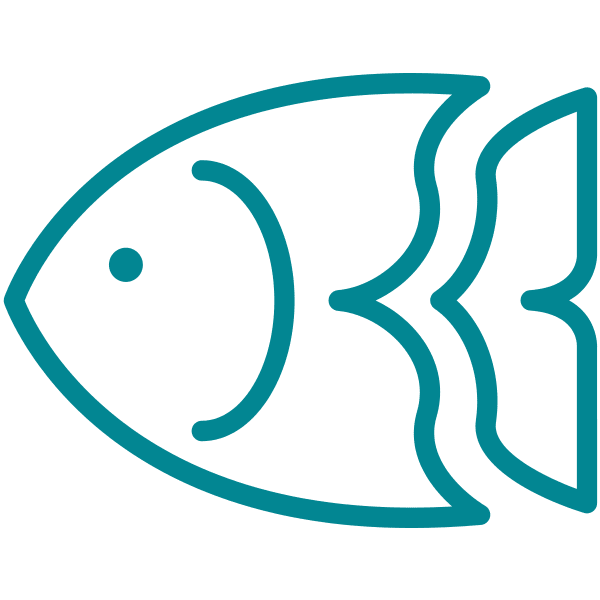 illustration of a tropical fish