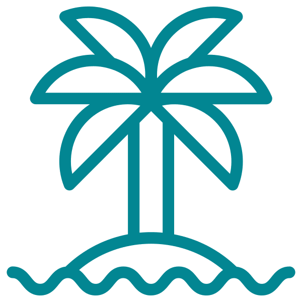 Illustration of a palm tree