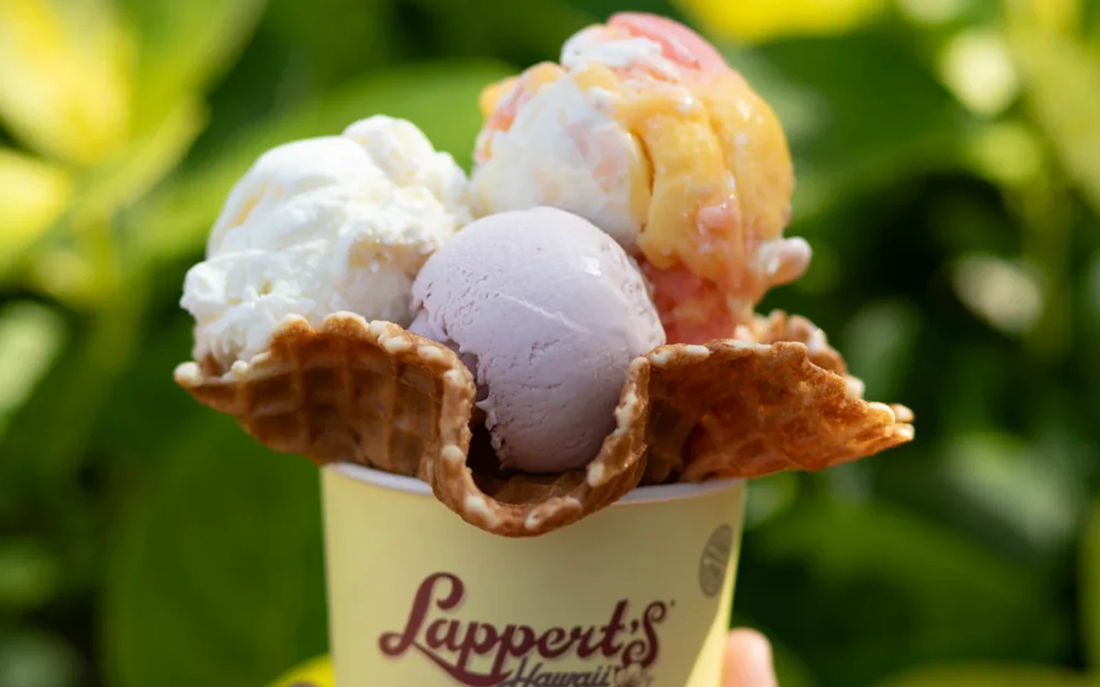 Photo of Ice Cream from Lappert's at the Hilton Hawaiian Village