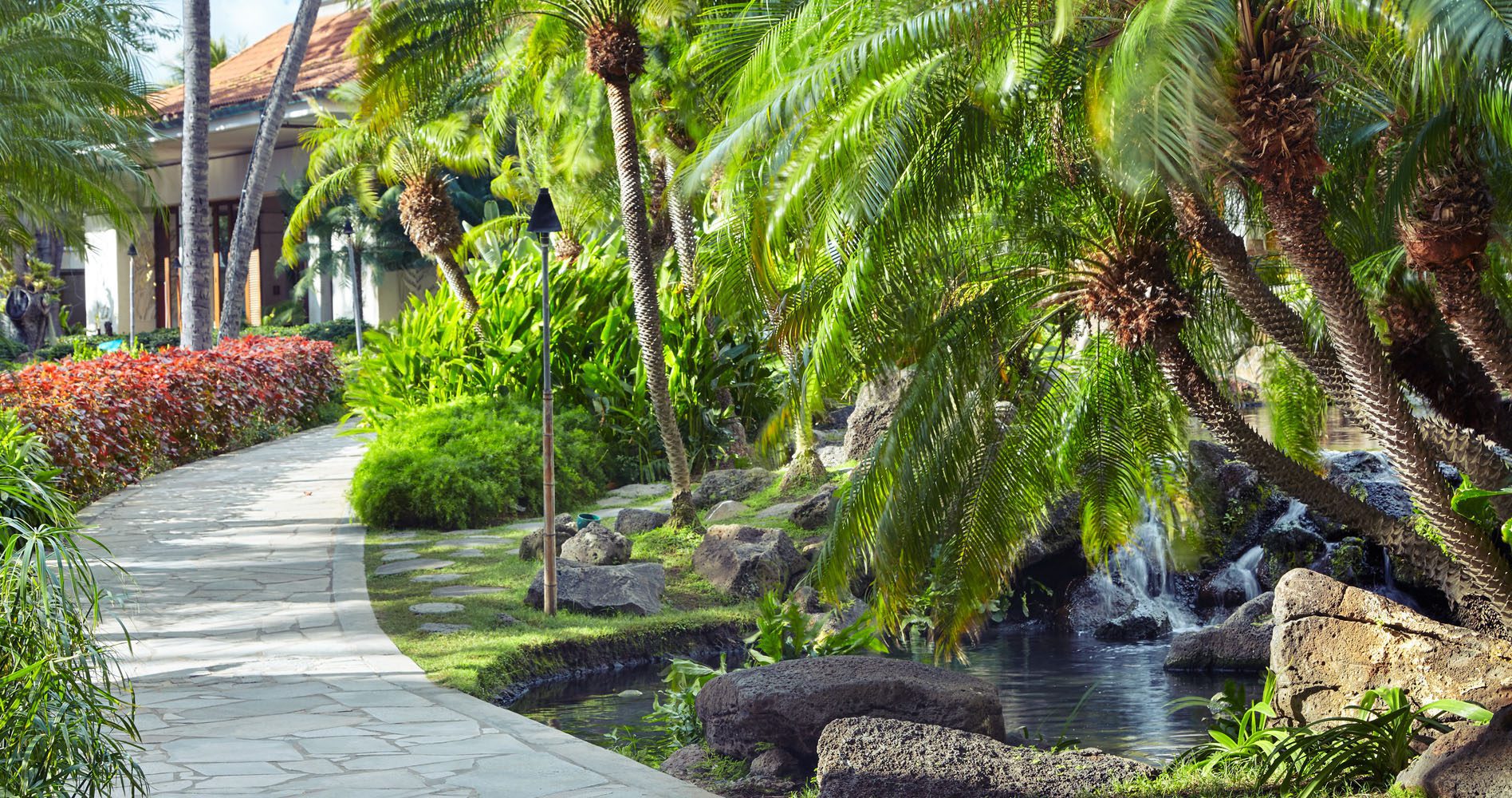Tropical landscape at the Hilton Hawaiian Village
