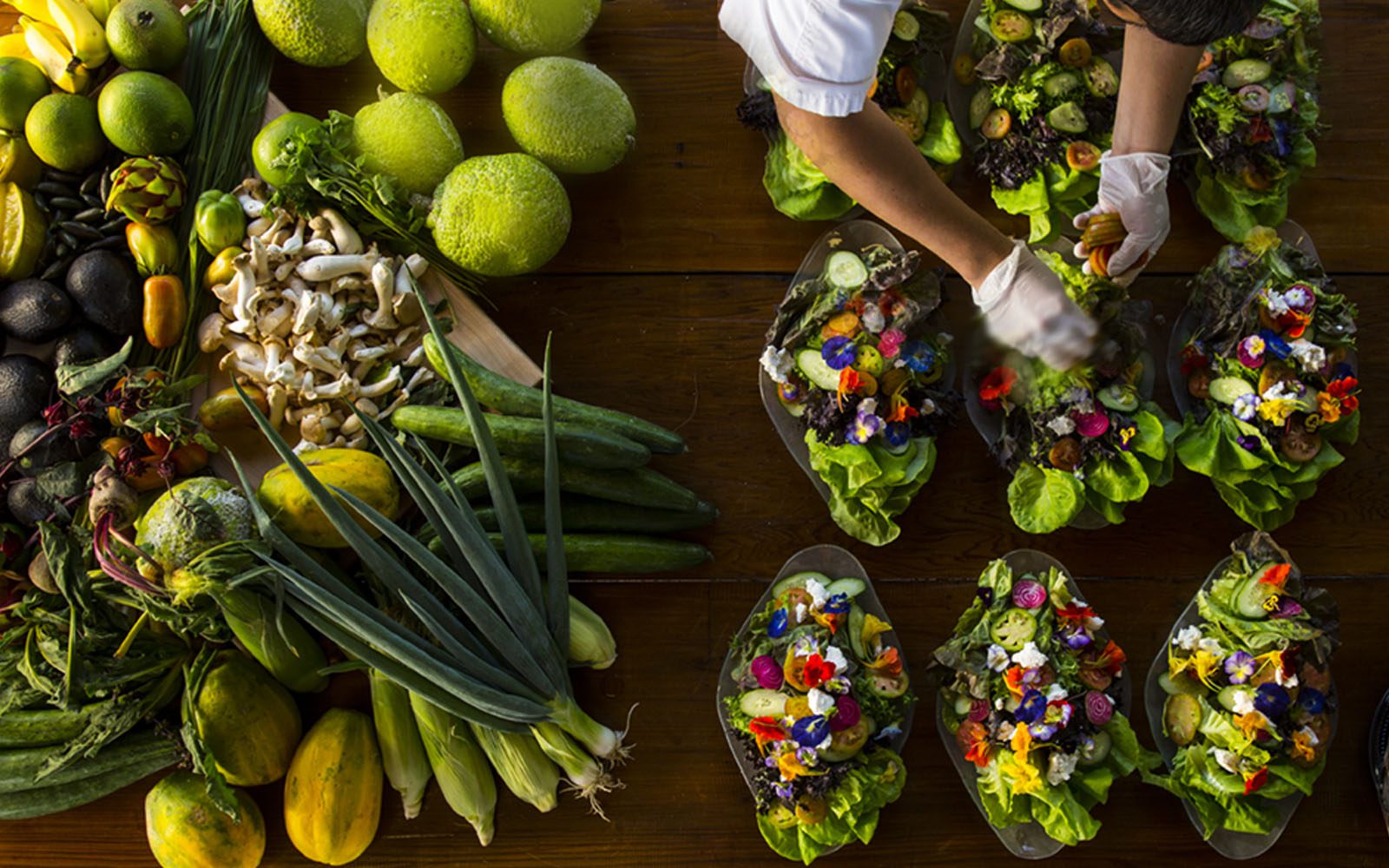 Overhead photo of Chef preparing catering salads for an event