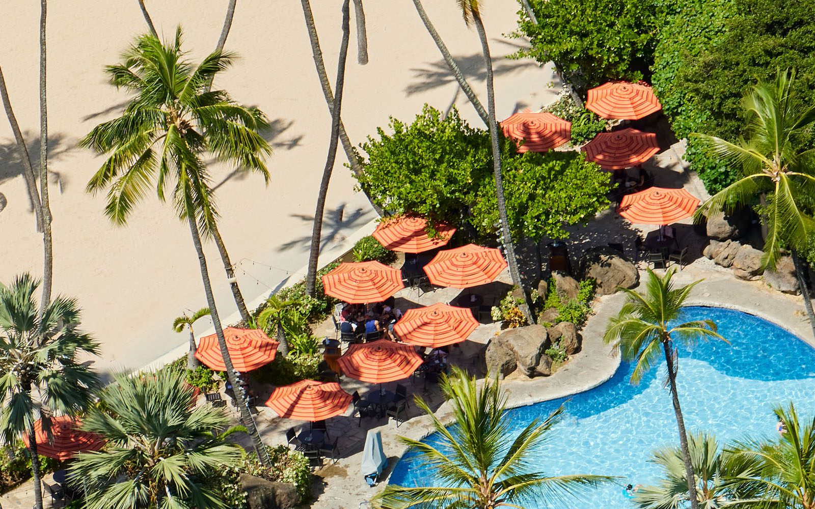 Hau Tree Bar beach umbrella tops next to the Super Pool and beachfront