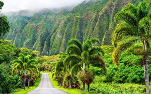 Oahu mountains in the background with road going through a tropical drive